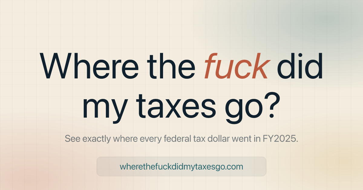wherethefuckdidmytaxesgo.com image